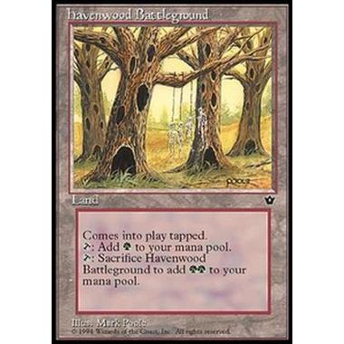 Havenwood Battleground - Havenwood Battleground - [FEM][GD]