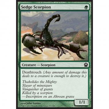 Sedge Scorpion - Scorpione del Falasco - [THS] [NM]