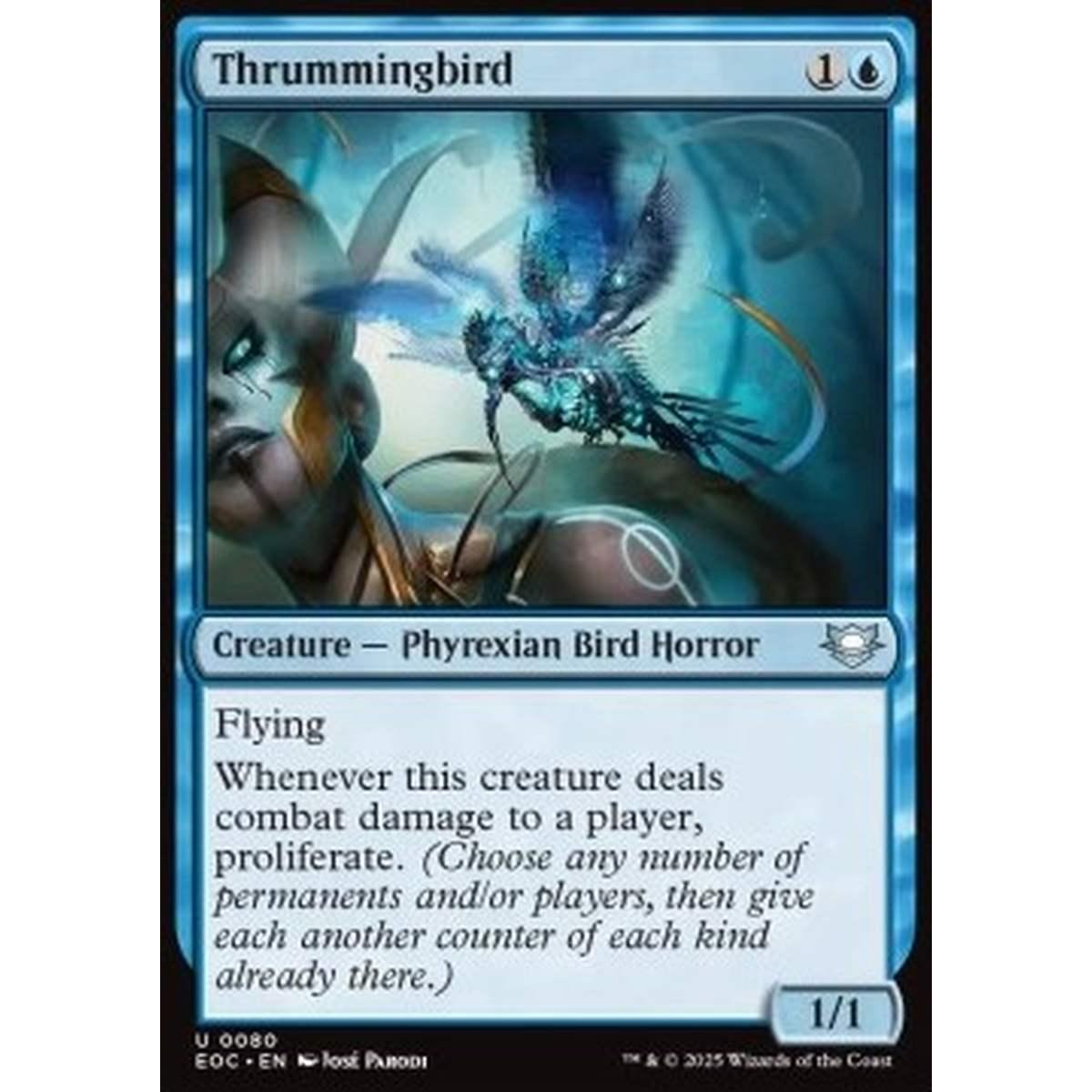 Thrummingbird - Thrummingbird - [EOC][NM]