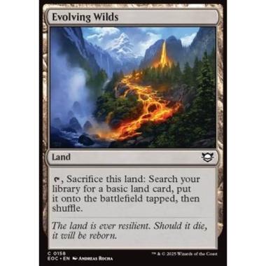 Evolving Wilds - Evolving Wilds - [EOC][NM]