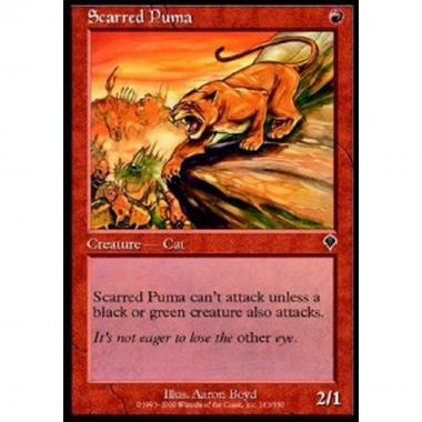 Scarred Puma - Puma Sfregiato - [INV] [EX]