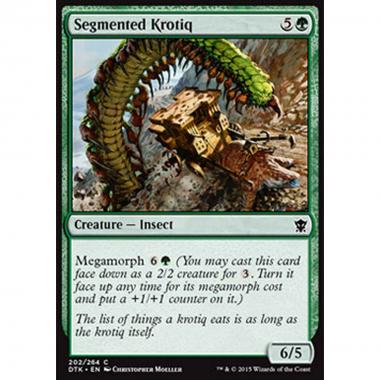 Segmented Krotiq - Krotiq Segmentato - [DTK] [NM]